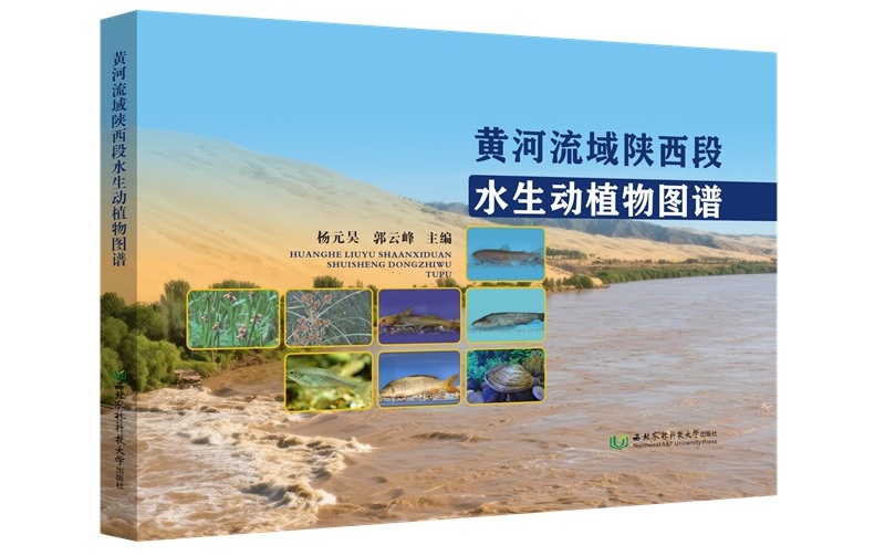 探秘母亲河里的水中精灵《黄河流域陕西段水生动植物图谱》正式出版