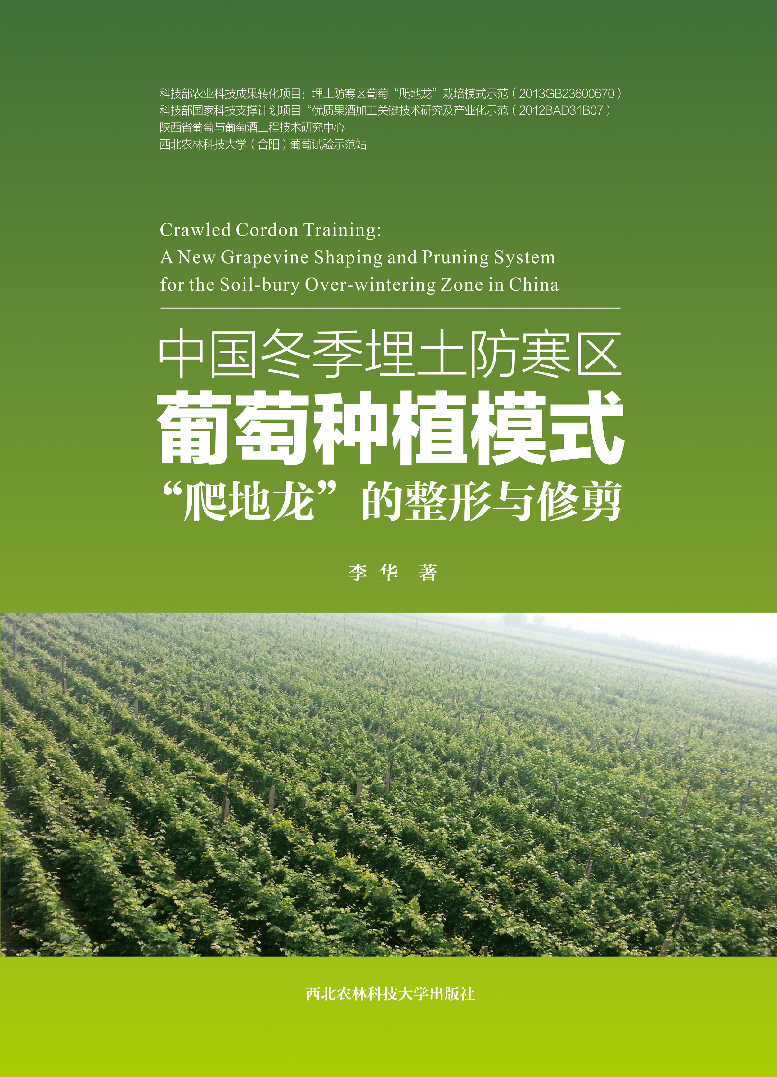 中国冬季埋土防寒区葡萄种植模式 “爬地龙 的整形与修剪.jpg