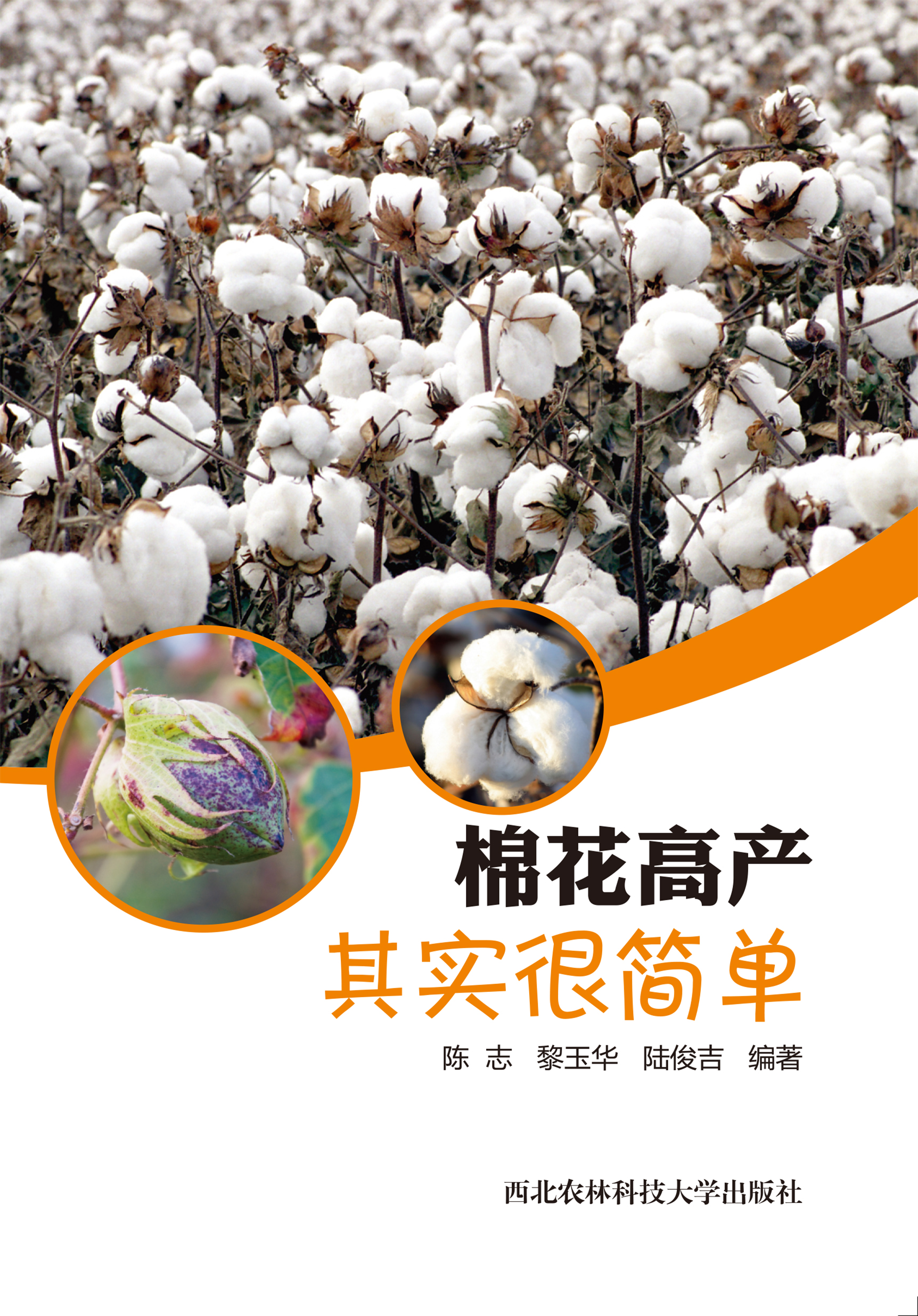 棉花高产其实很简单.jpg