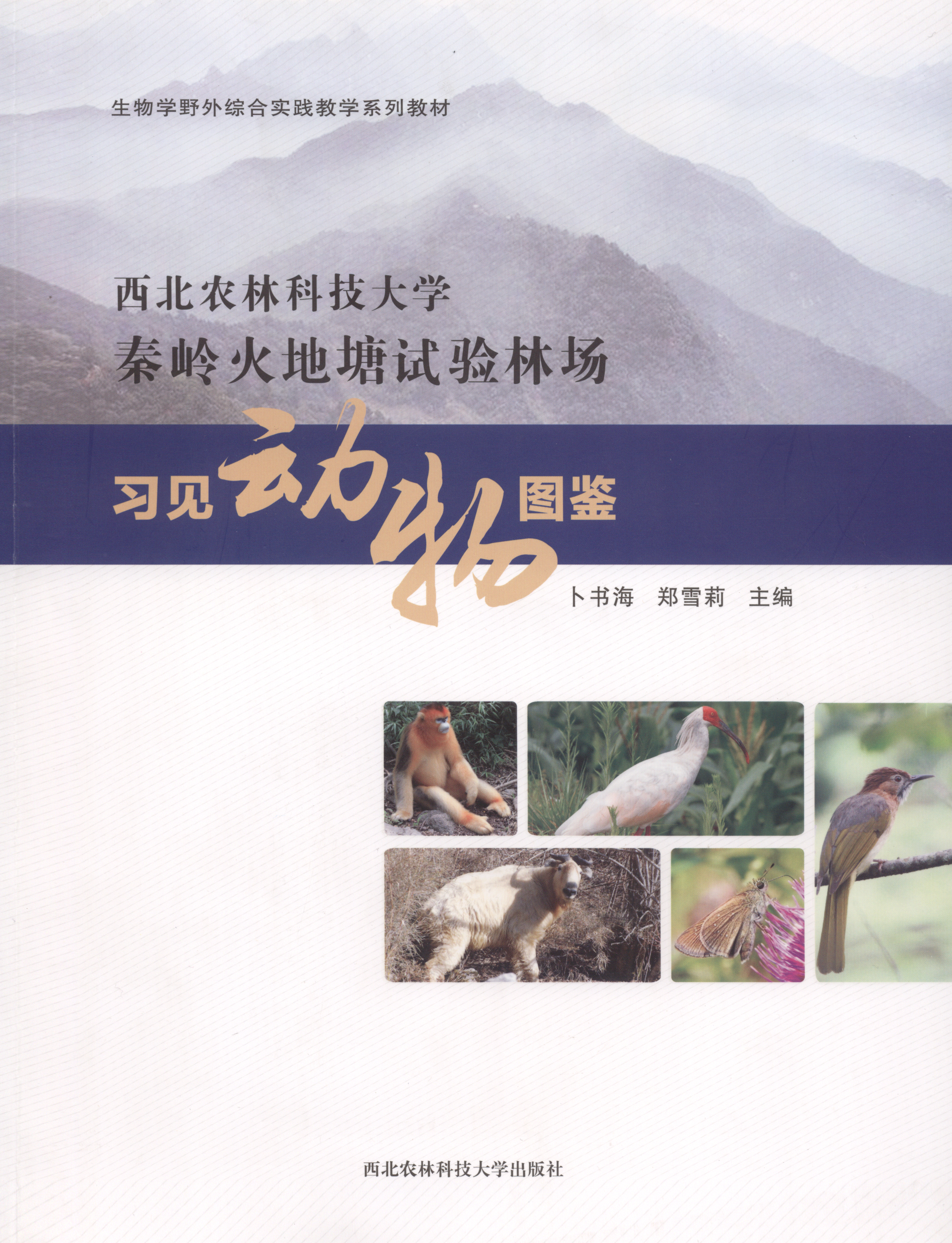 暂无图片
