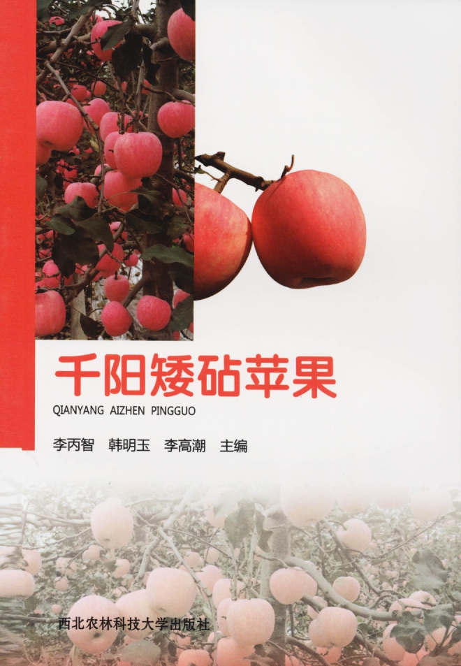 千阳矮砧苹果.jpg