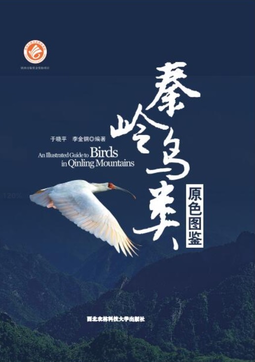 秦岭鸟类原色图鉴.jpg