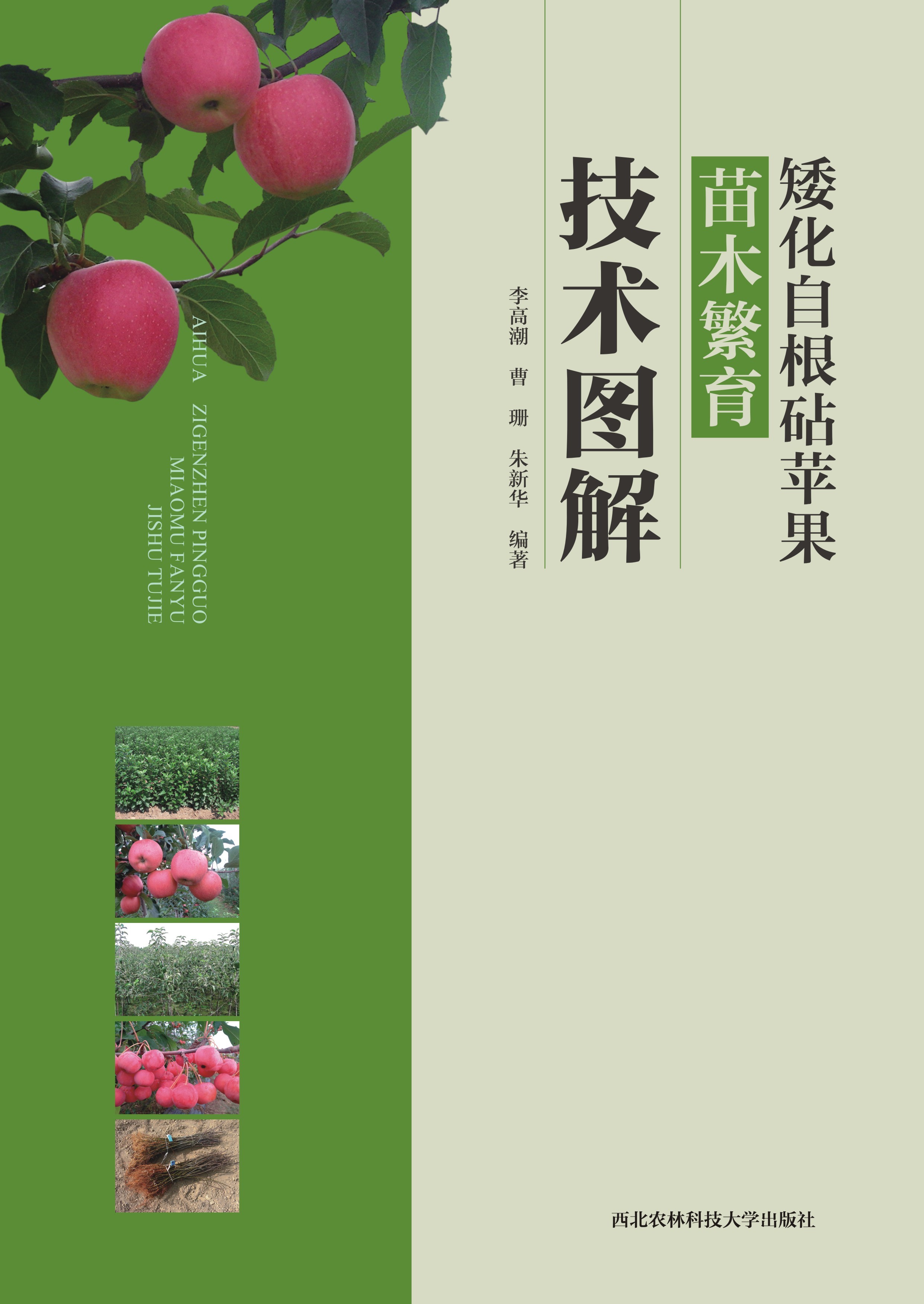 矮化自根砧苹果苗木繁育技术图解.jpg