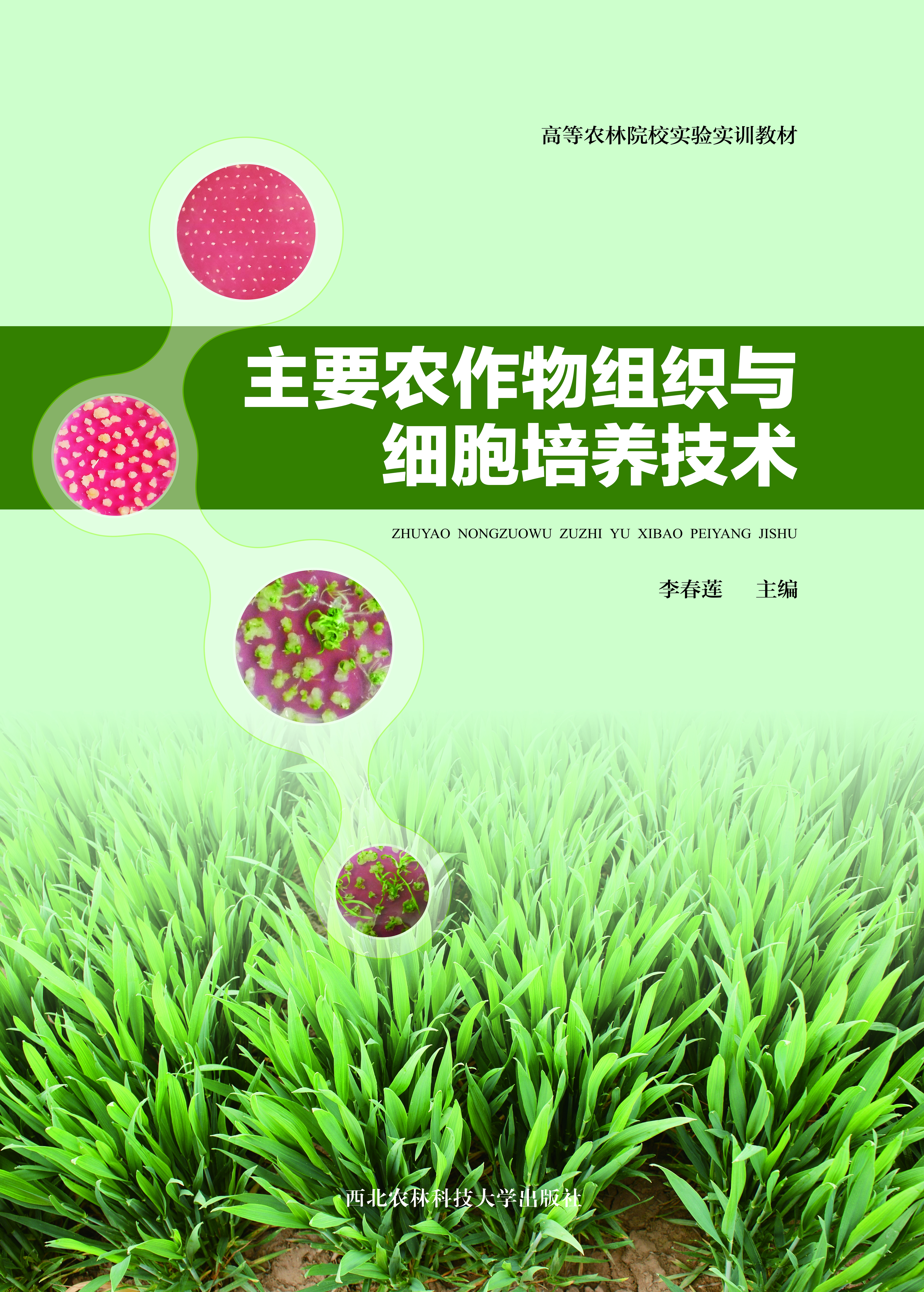 主要农作物组织与细胞培养技术