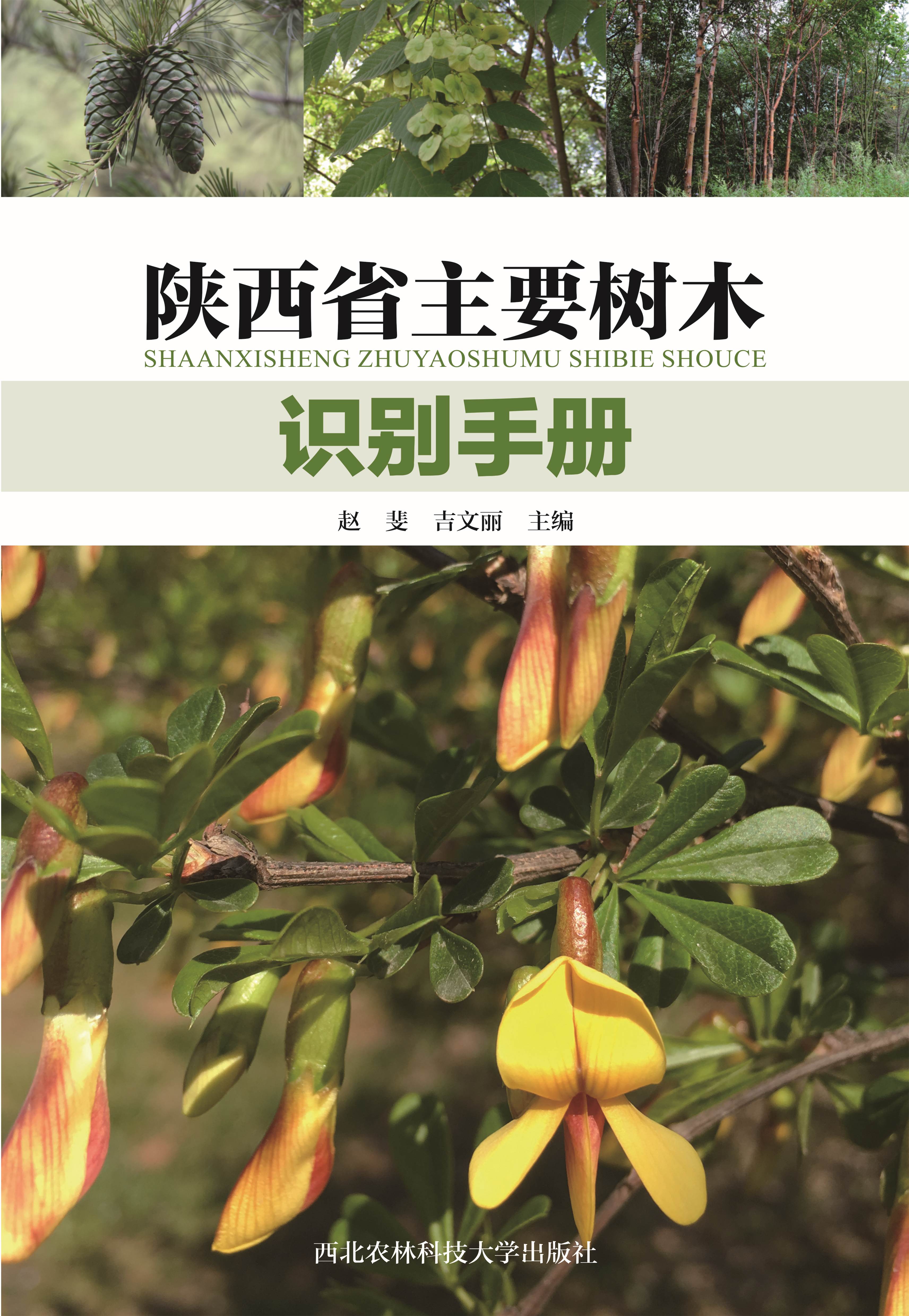 陕西省主要树木识别手册