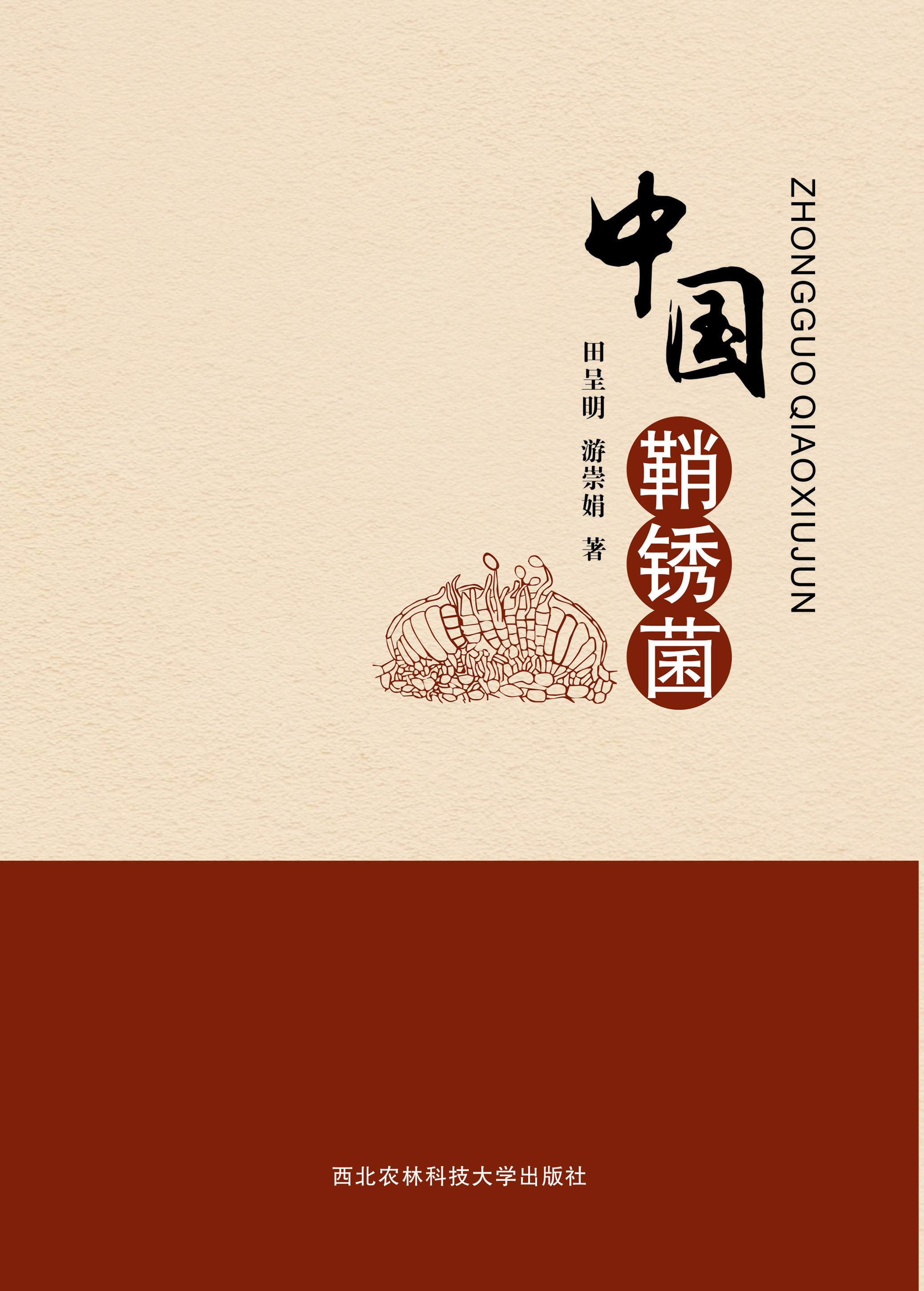 中国鞘锈菌
