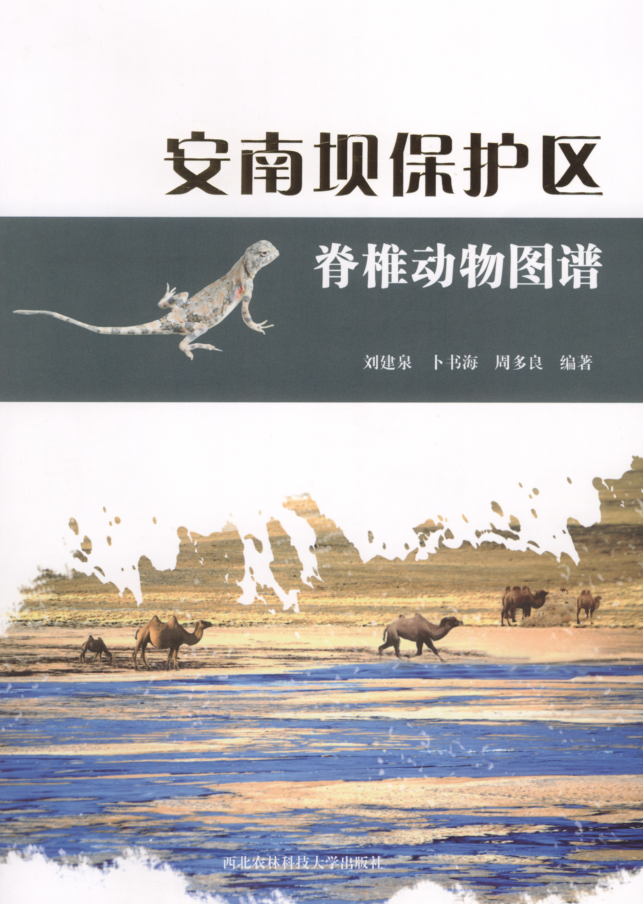 安南坝保护区脊椎动物图谱