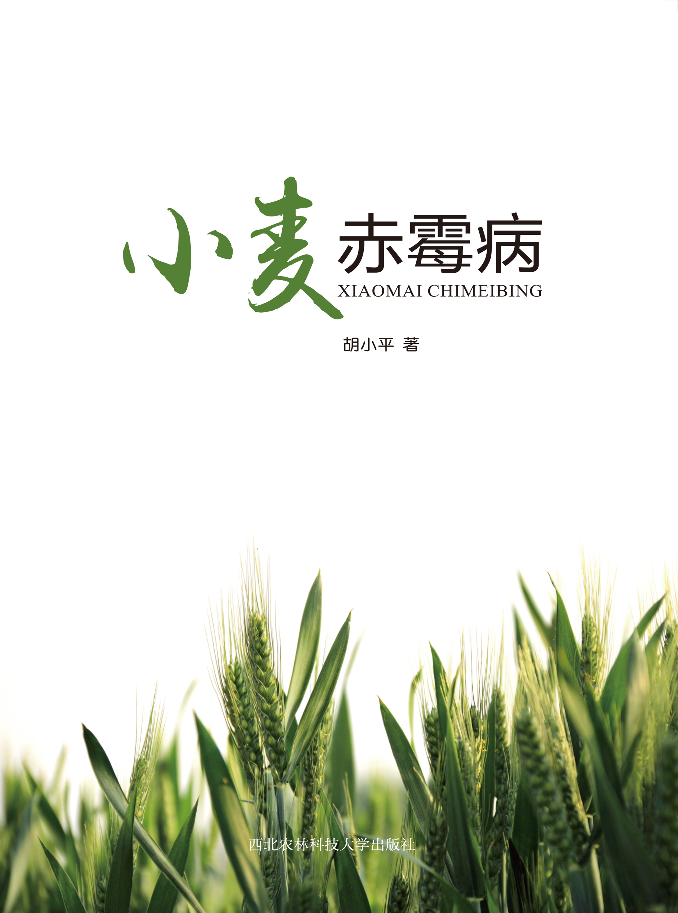 小麦赤霉病