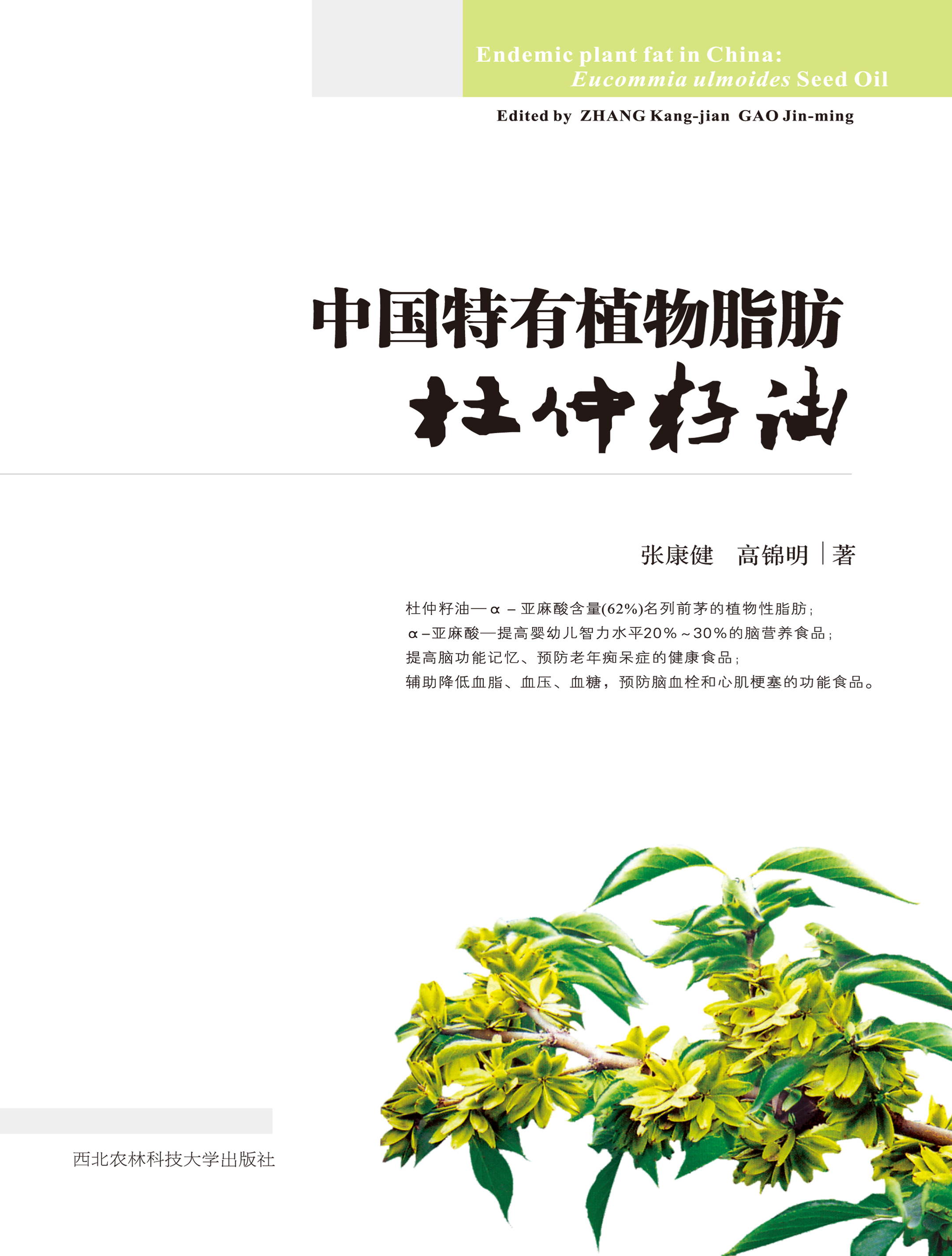 中国特有植物脂肪 杜仲籽油