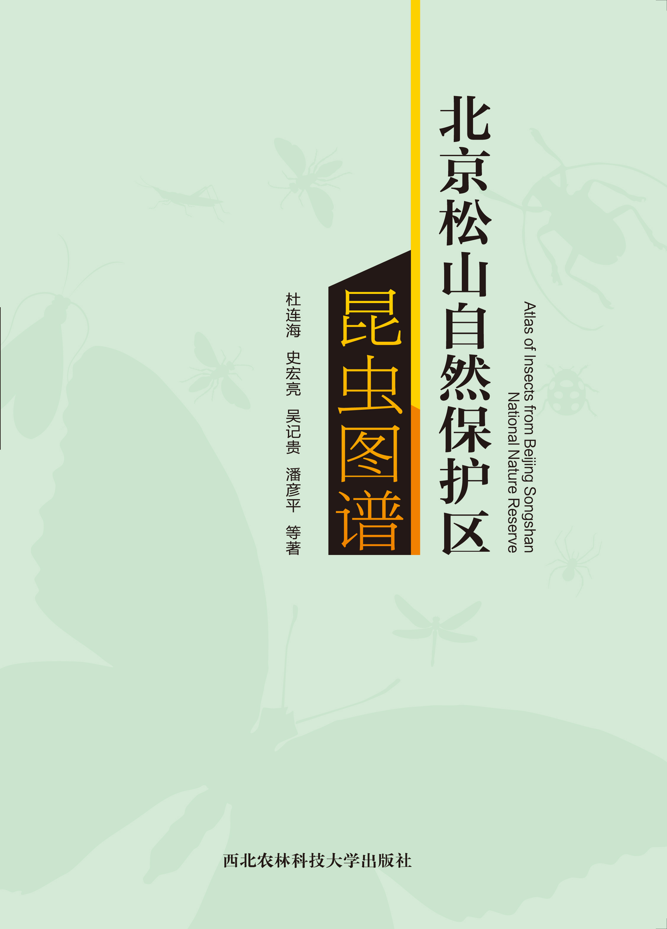 北京松山自然保护区昆虫图谱.jpg