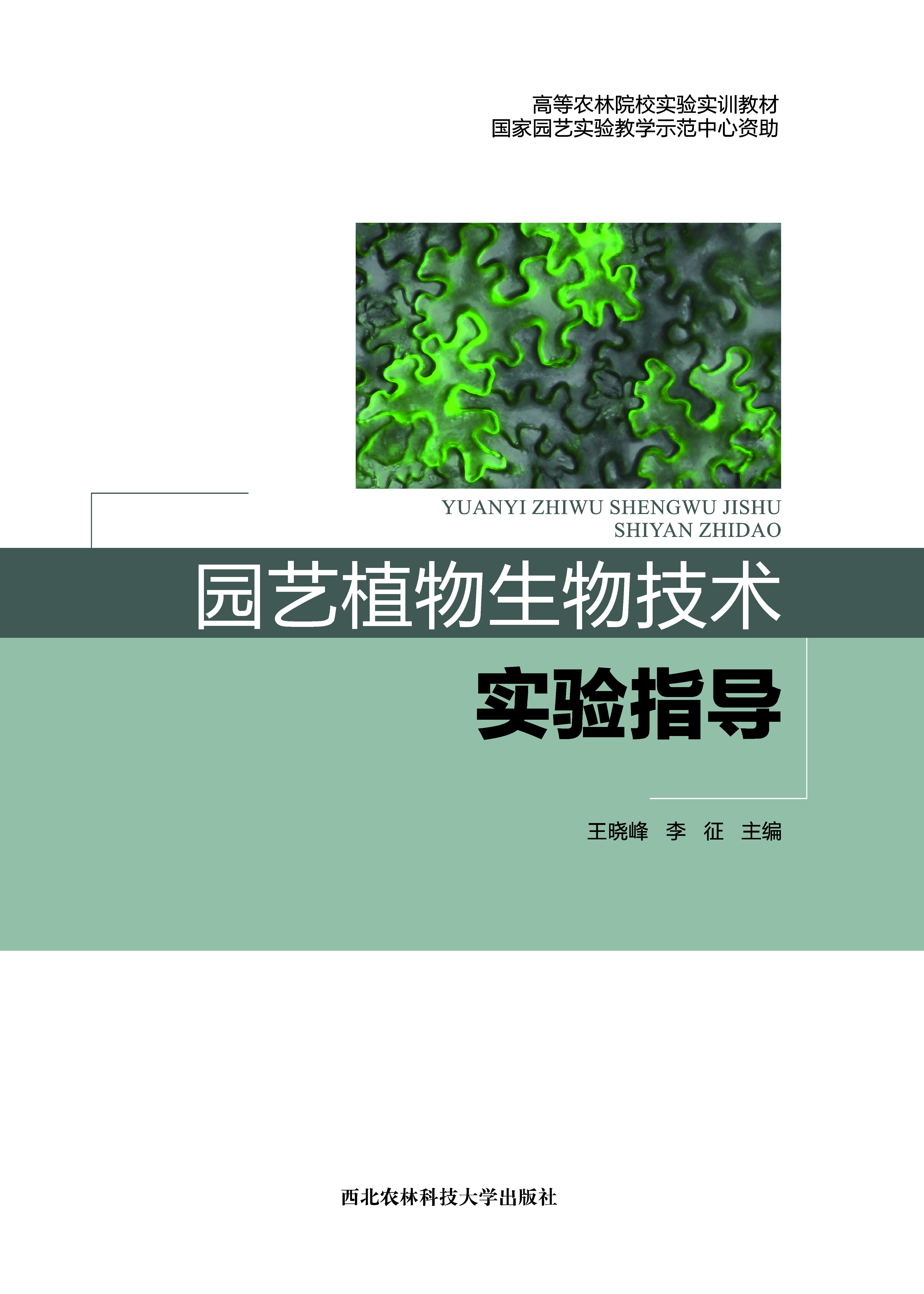 暂无图片