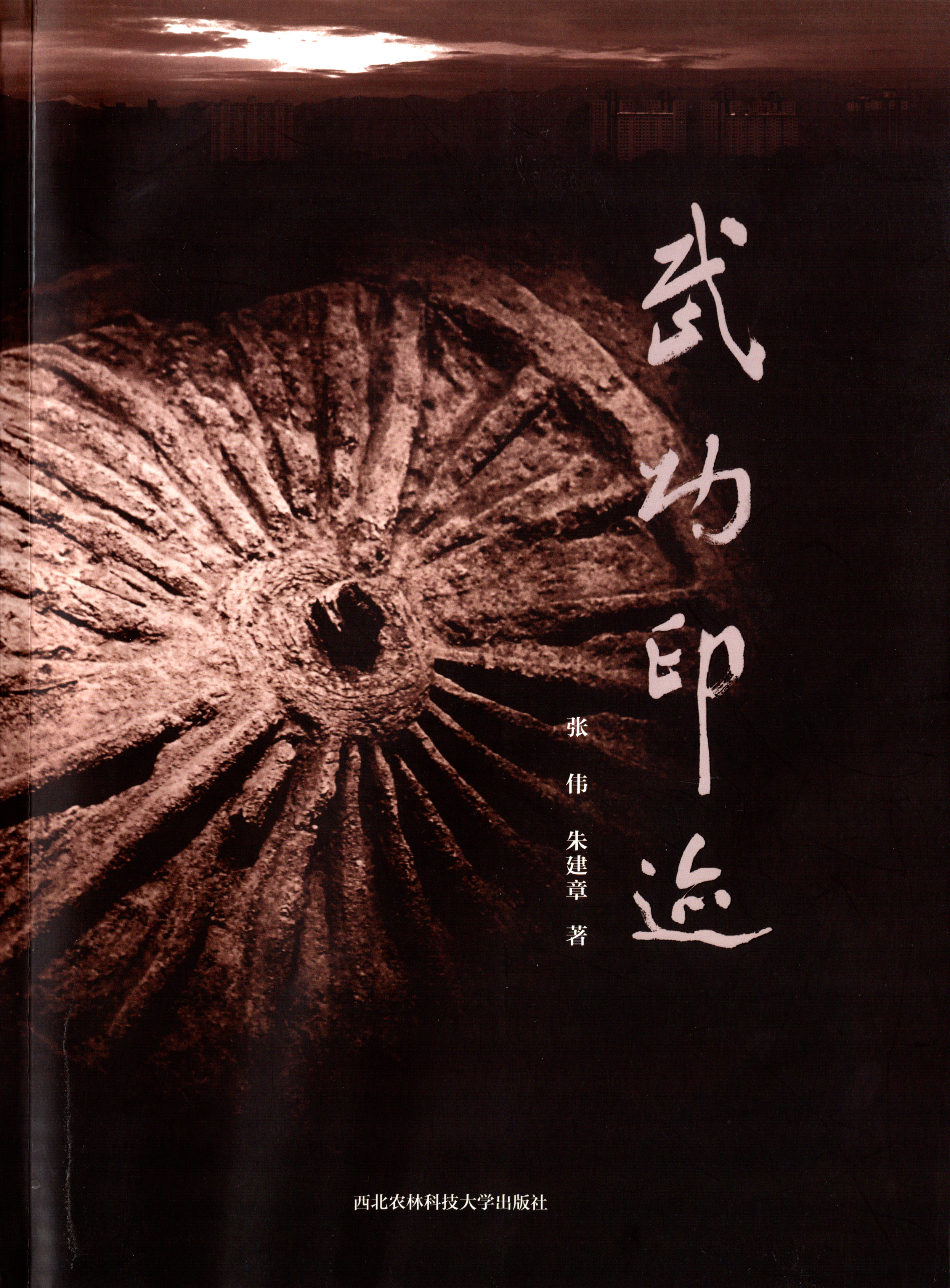 武功印迹