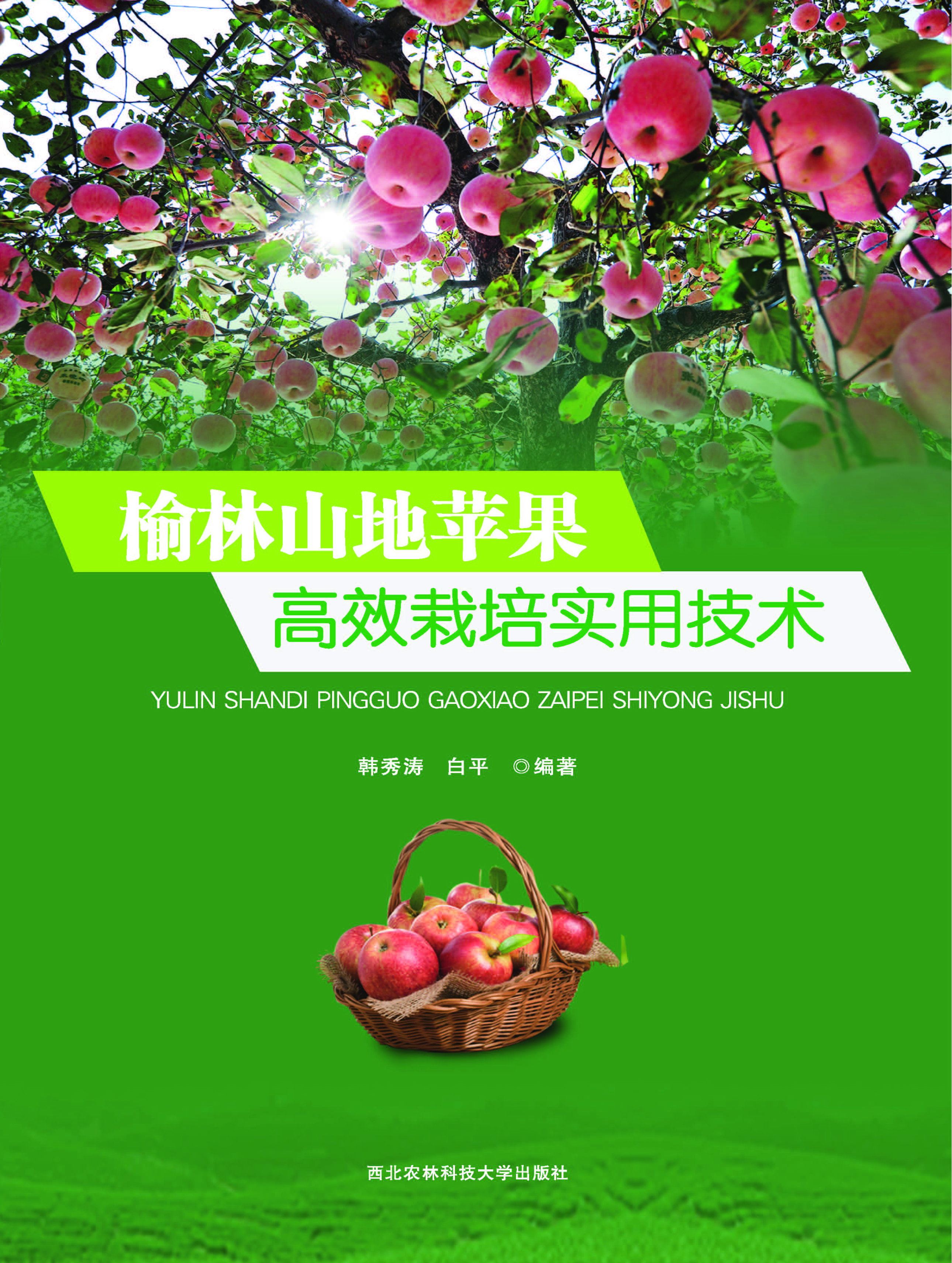 榆林山地苹果高效栽培实用技术