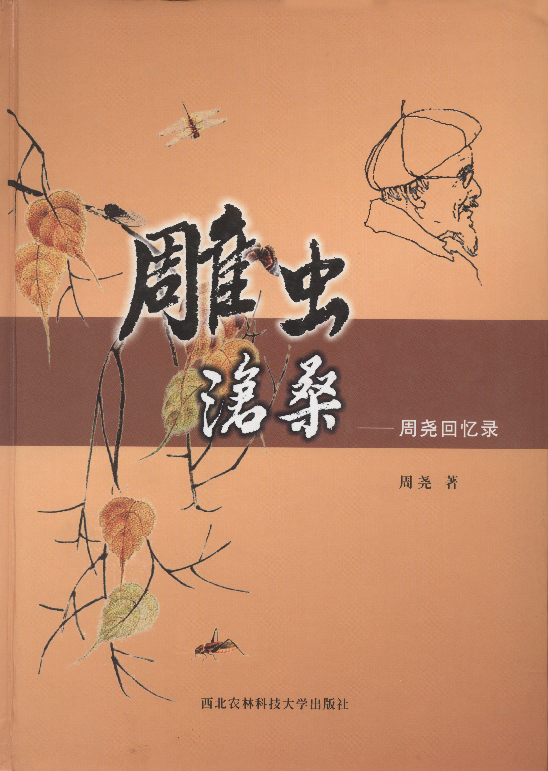 暂无图片